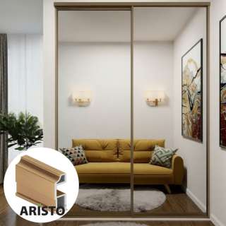 Дверь-купе ARISTO SLIM LINE, зеркало, профиль золото крацованное