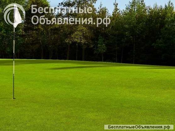 Газонная трава DLF Дания 20 кг