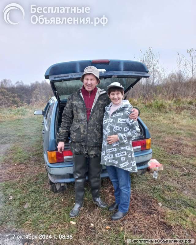 Рыбалка отдых на природе
