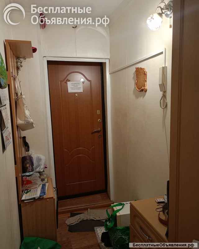 Хорошая однушка в Ногинском районе