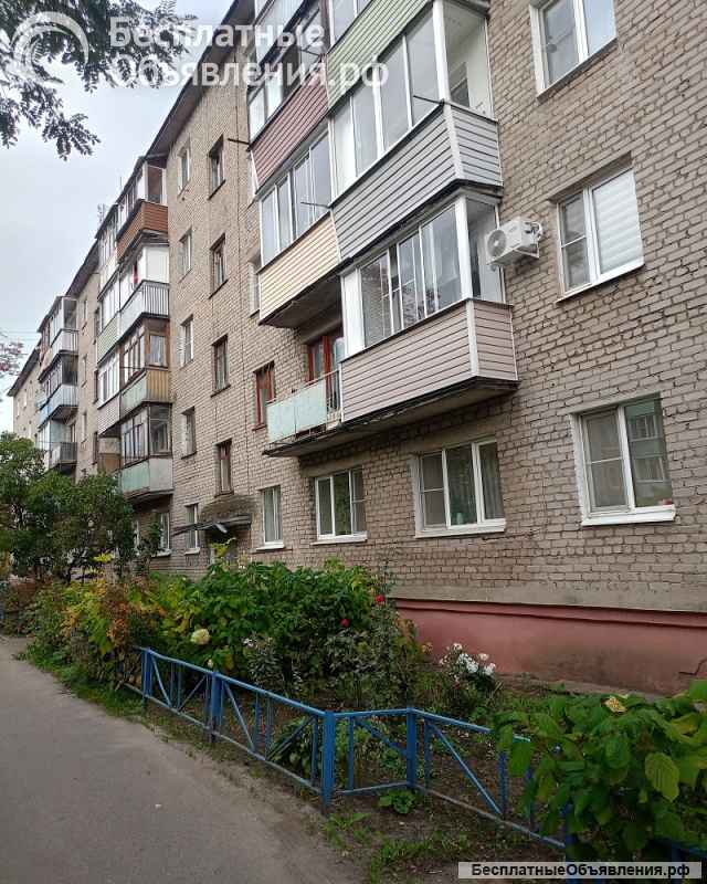 Хорошая однушка в Ногинском районе