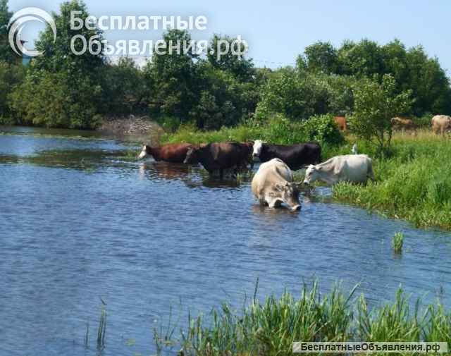 Дом и земельный участок