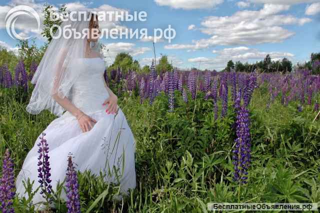 Фотосьемка