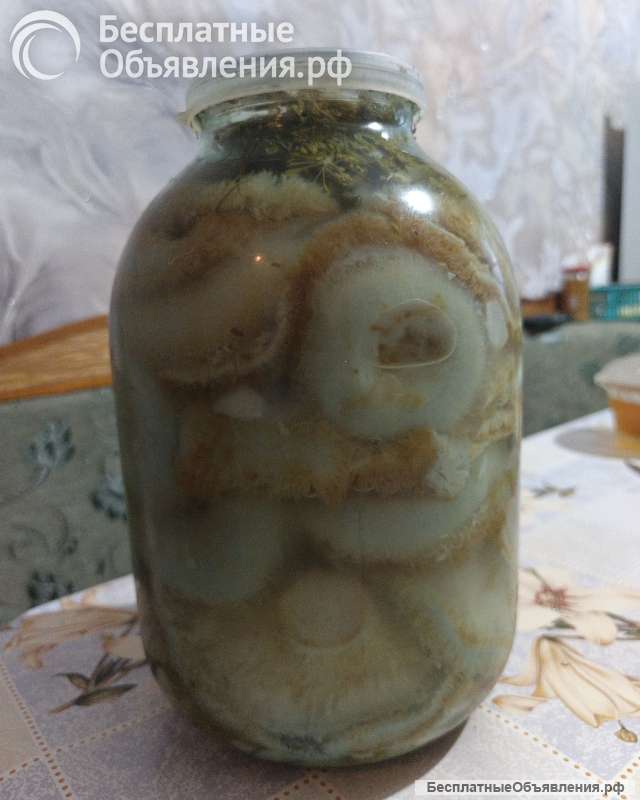 Грузди солёные
