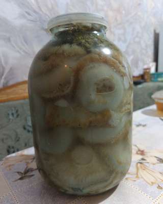 Грузди солёные