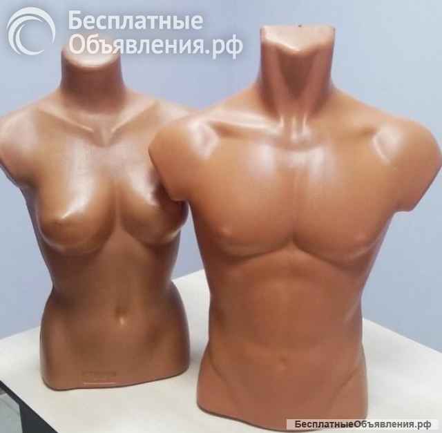 Манекены торсы, ноги, головы