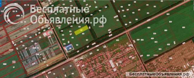 Участок 3 га. (СНТ, ДНП) 55 000 000