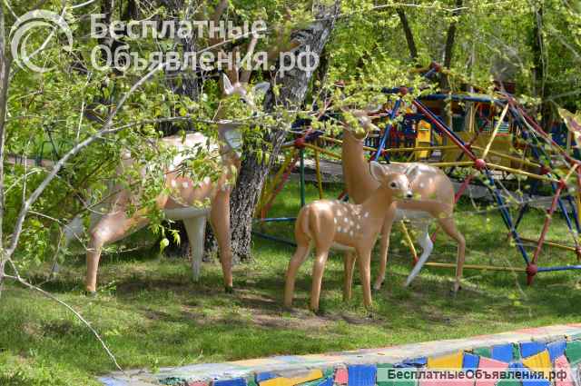 Ищете детский сад?