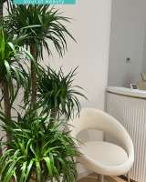 Incare Beauty