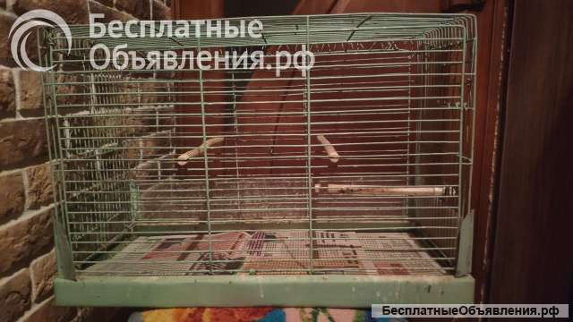 Клетка для попугаев и птиц