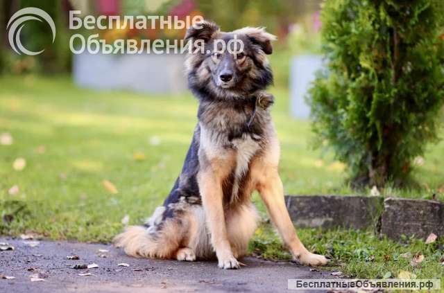 Дарси хочет домой
