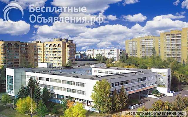 Учитель начальных классов