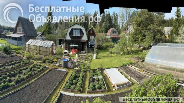 Участок с дачей рядом с г Выборгом