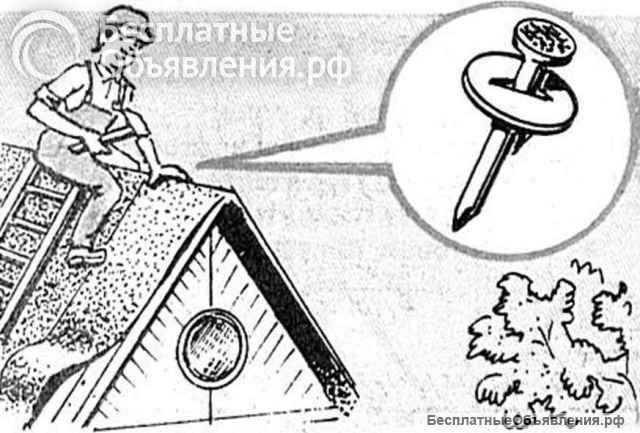 Шайба