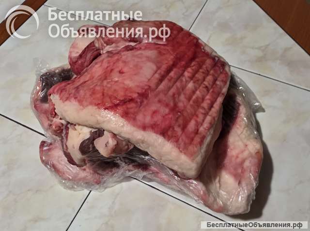 Сало медведя