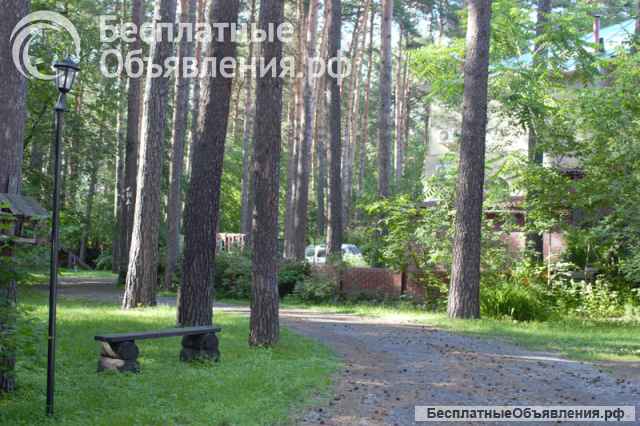 4-к. квартира, 145,6 м², 1/3 эт.