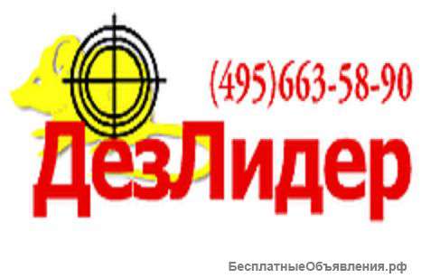 Травля насекомых и грызунов