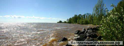 Участок под Киевом с песчаным пляжем и старым дендропарком