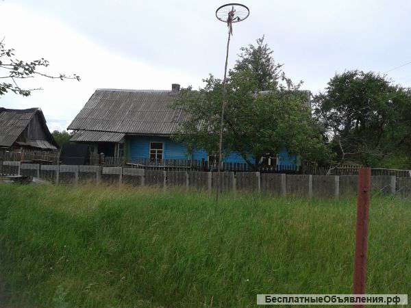 Дом в деревне под дачу беларусь