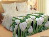 Постельное белье "Тюльпаны"