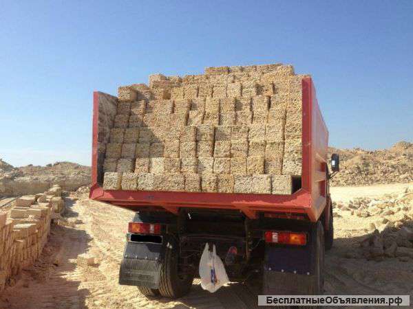 Ракушечник