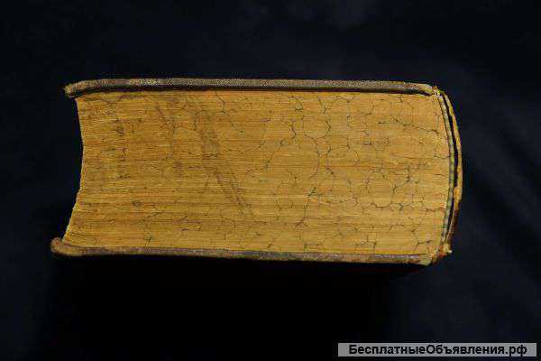 Библия «Священные Книги Ветхаго и Новаго Завета» в твердом переплете с тиснением. Москва, 1904 год.