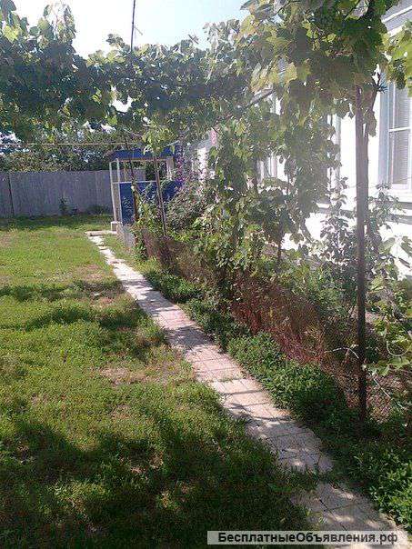 Провести отпуск