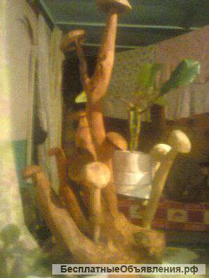 Детские игрушки