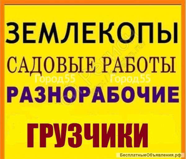 Услуги разнорабочих и землекопов