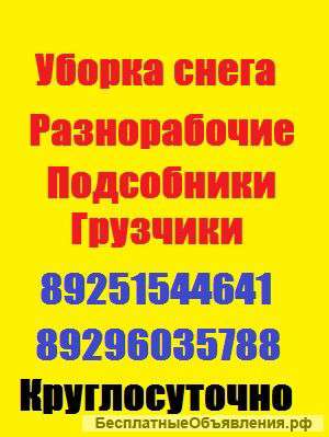 Грамотные русские разнорабочие первые в своём деле
