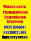 Грамотные русские разнорабочие первые в своём деле