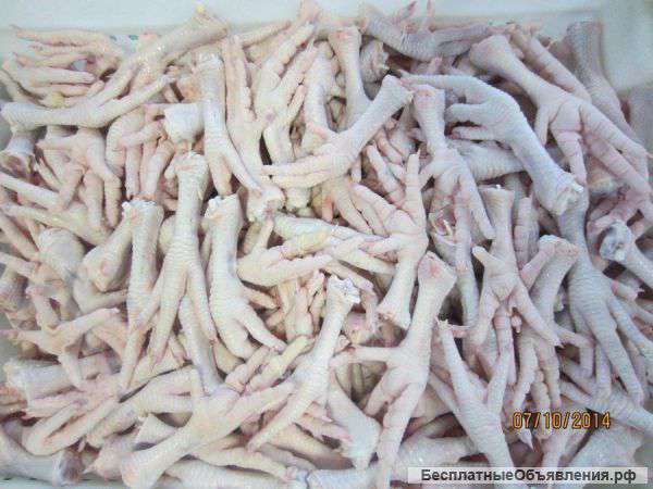 Лапы куриные куплю