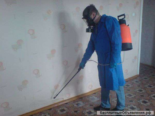 Уничтожение тараканов клопов