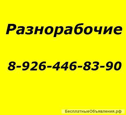 Разнорабочие