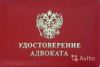 Адвокат, юридическая помощь