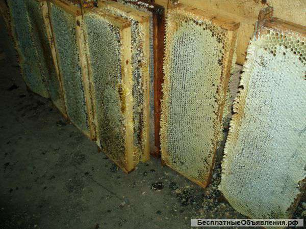 Продукция пчеловодства, мед и др