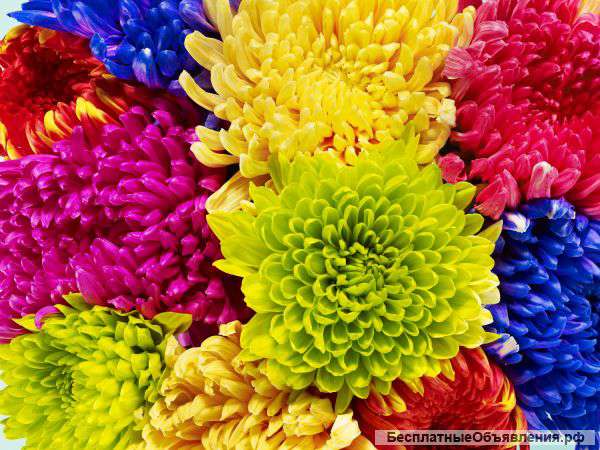 Доставка картофеля на дом. не дорого.