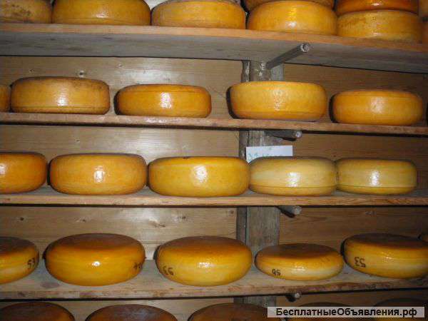 Медвежонок