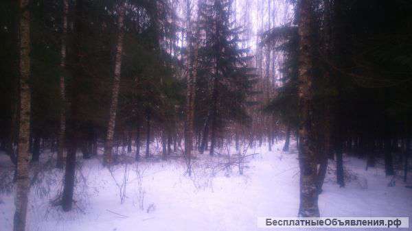 Рядом с городом - участки с лесом , прилесные участки по 8 соток
