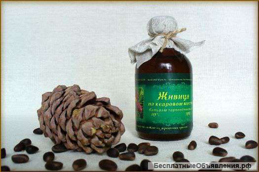 Живица кедровая