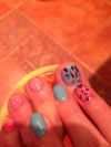 Покрытие Shelsc