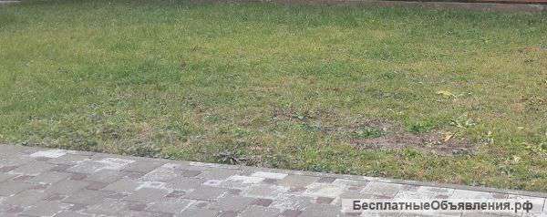 Шикарный участок в ПМР