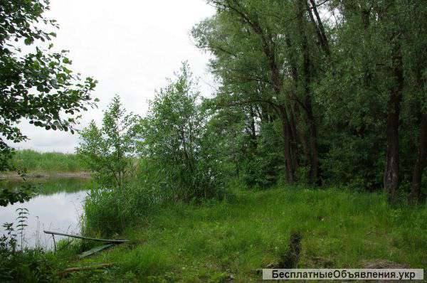 Участок 12 соток с.Плюты Обуховский район возле речки Козынка.