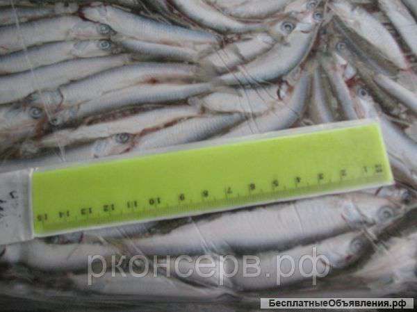 Хамса свежемороженая сортированная СРТМ 1 и 2 сорт оптом в Керчи