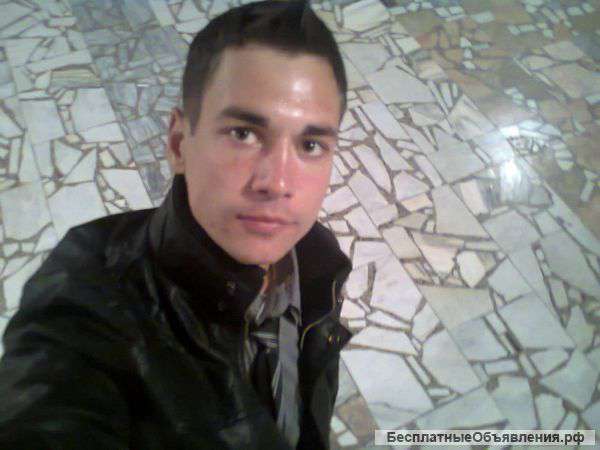 Выгул вашего домашнего питомца (собаку)