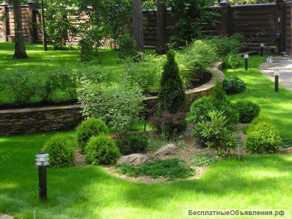 Благоустройство участка