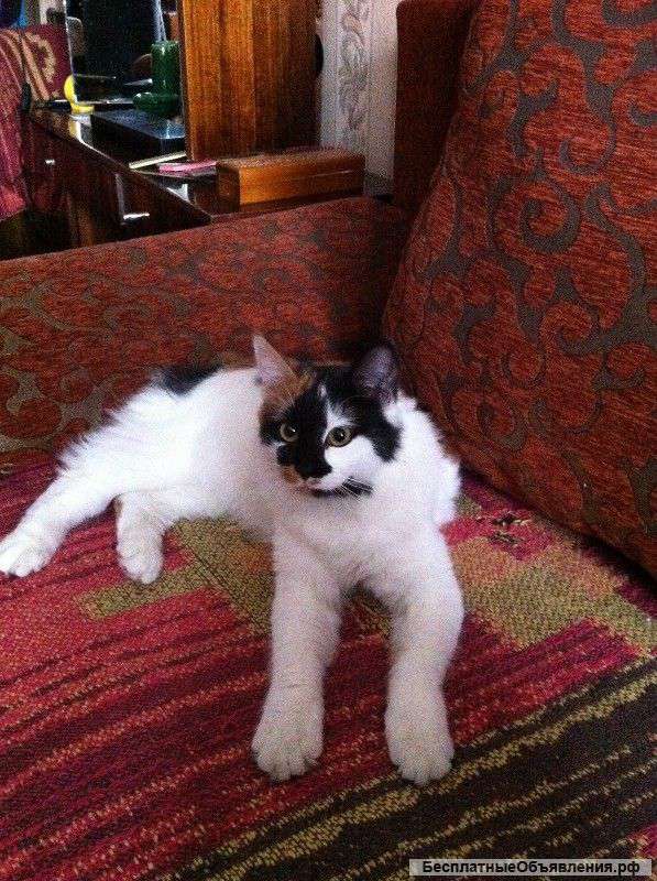 Женщина 30-35 лет