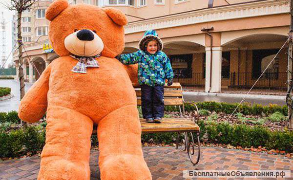 Огромный плюшевый мишка