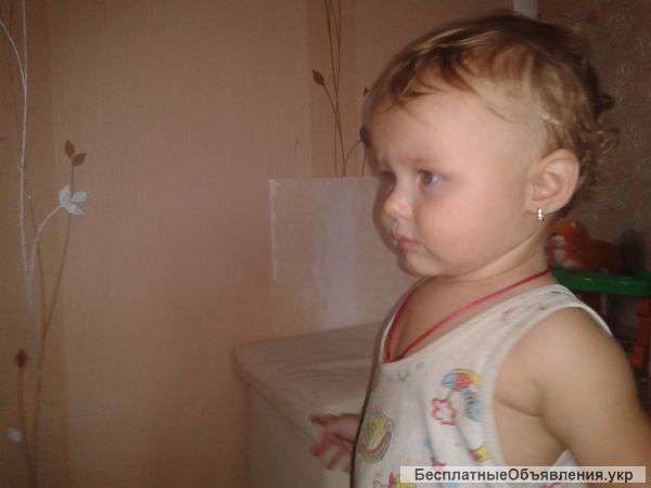 Ремонт стиральных машин на дому