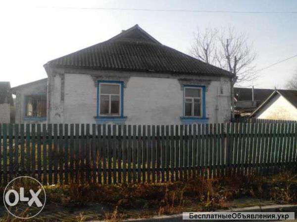 Дом в селе Чубинцы Киевская область